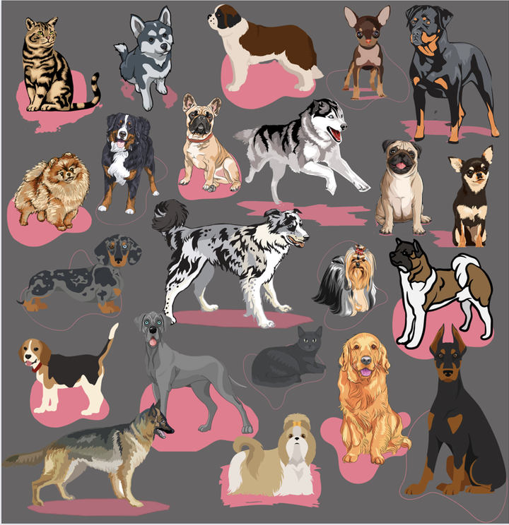Criadero de perros en Medellín - Mascotas Medellín