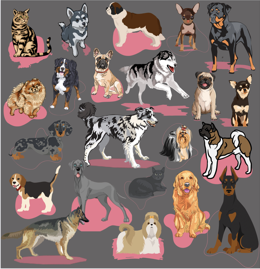 Criadero de perros en Medellín - Mascotas Medellín