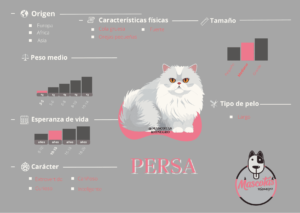 Imagen recuperada