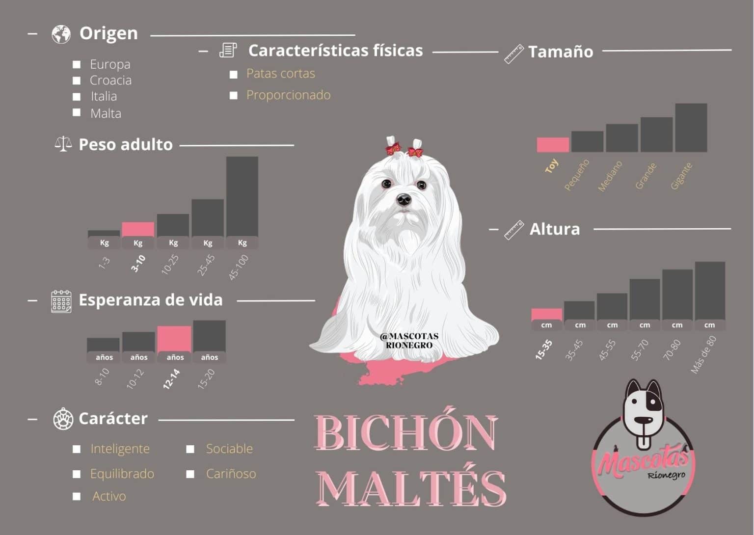 Cocker Spaniel ★ | El Mejor Criadero Para Comprar Tu Mascota.