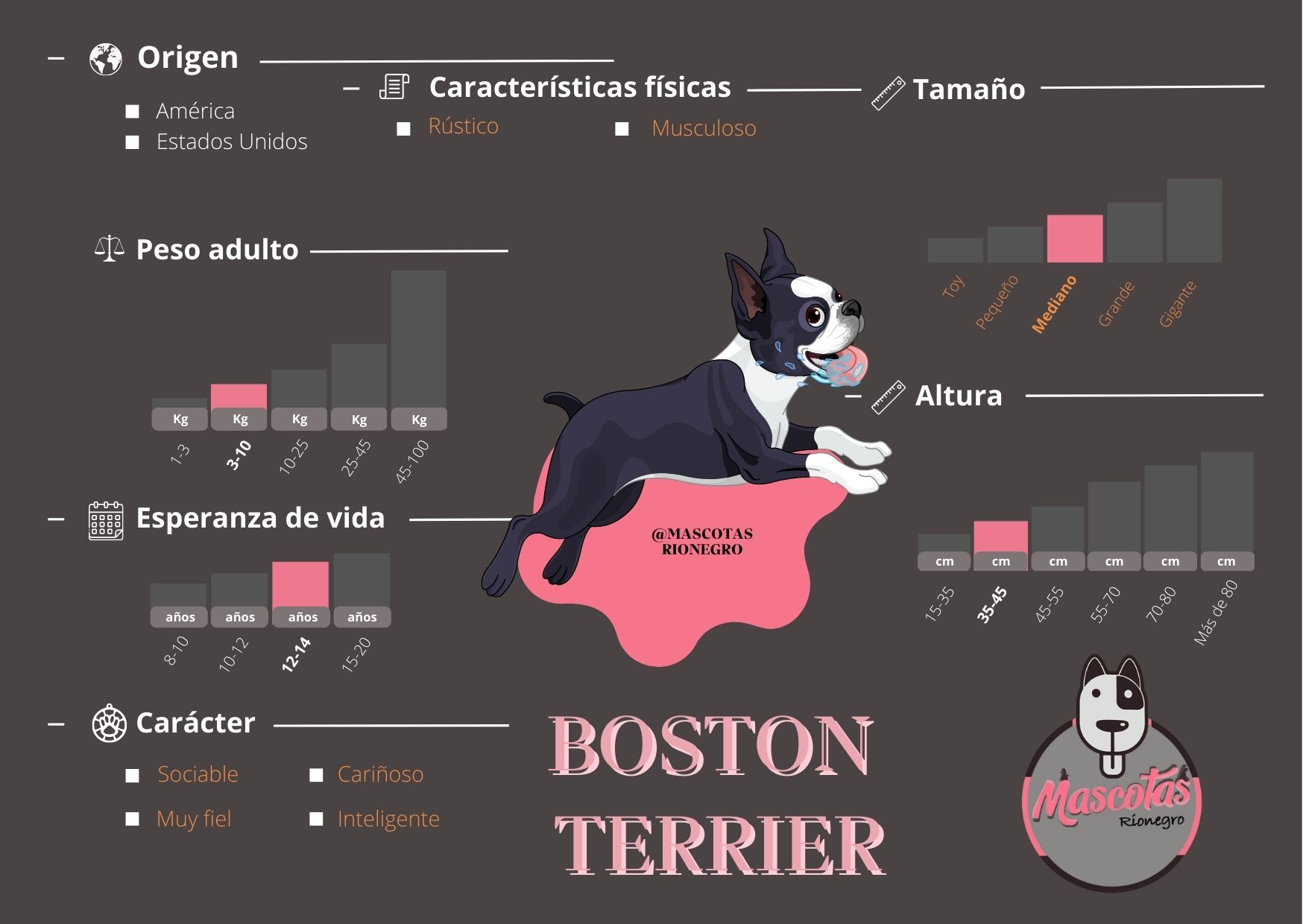 que peso debe tener un border terrier