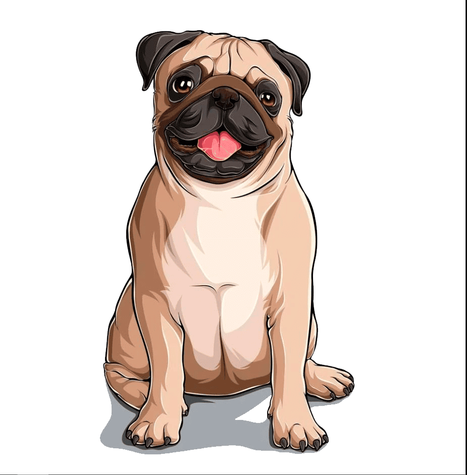 pug