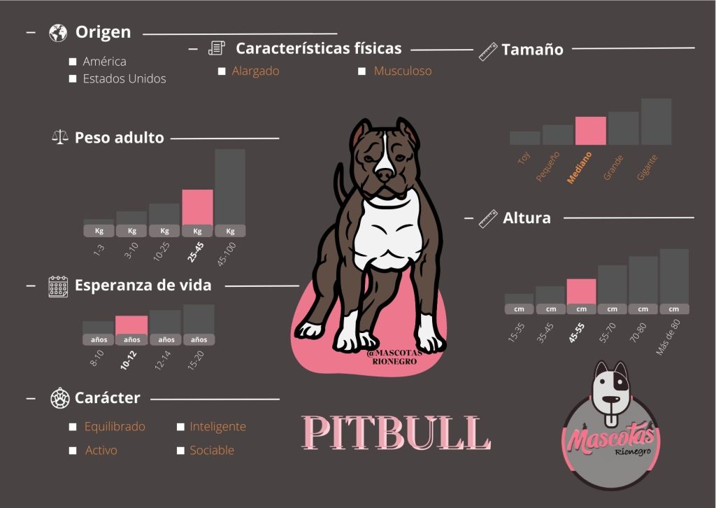 Ficha Pitbull Mascotas medellin bogota precio criadero