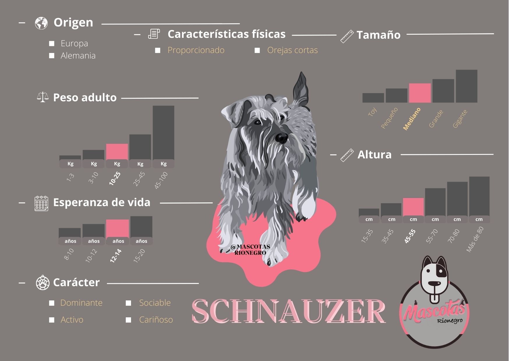 cuanto pesa un mini schnauzer