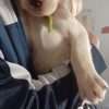 Venta de Perros labrador Medellin Colombia