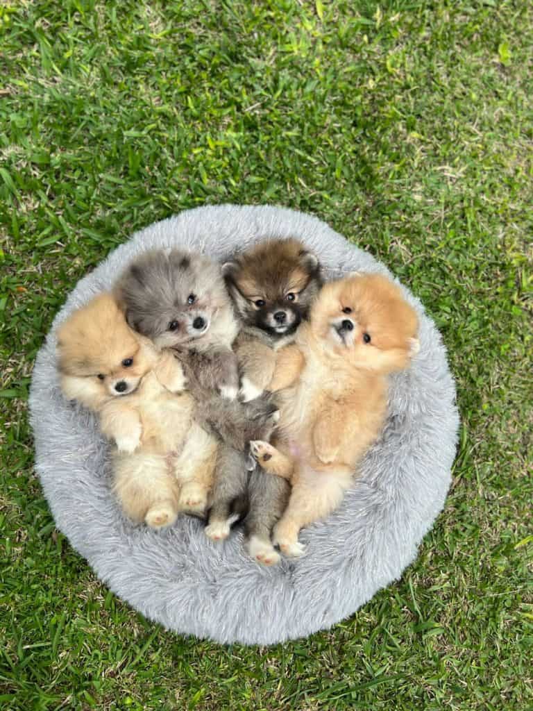 3d438f93 d6c6 487b 832b ed762d488861