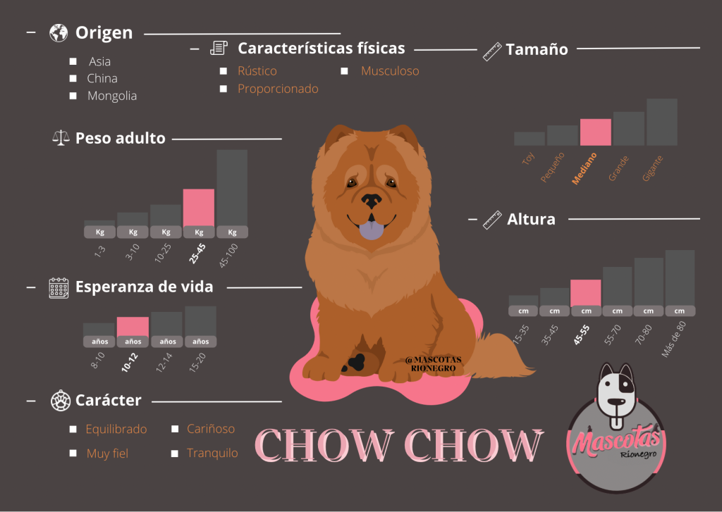 Ficha criadero chow chow