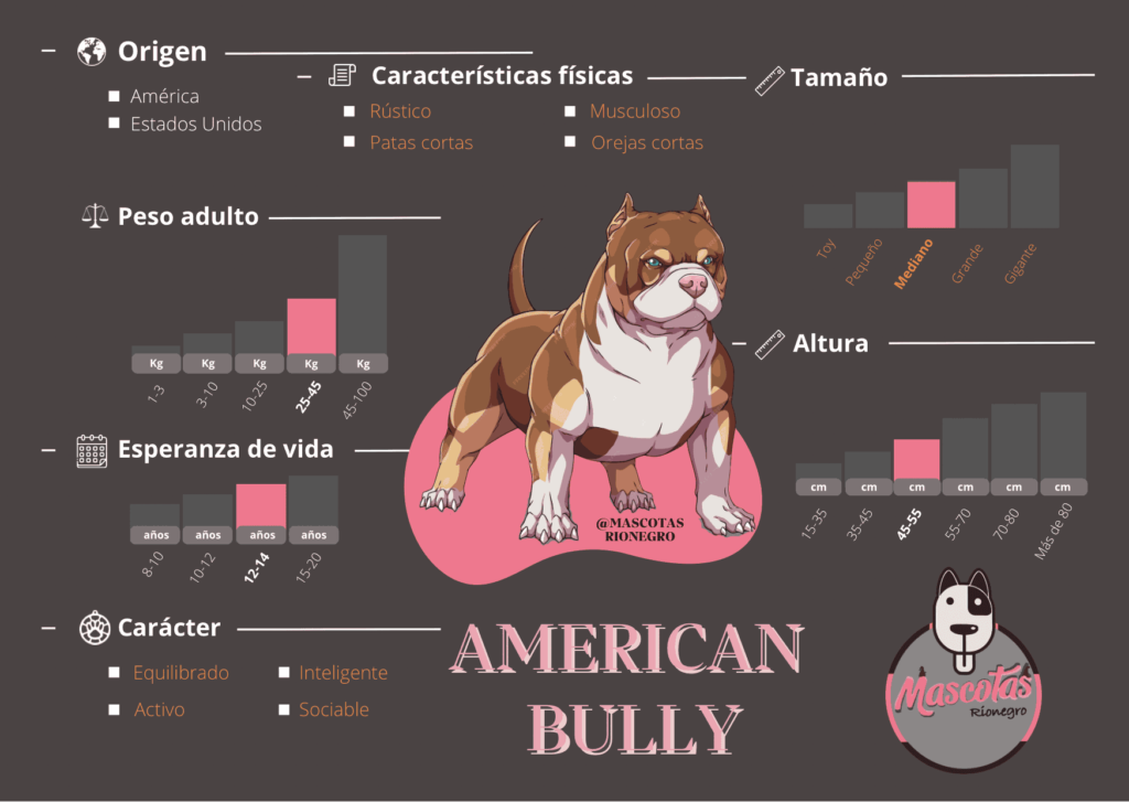 Ficha Criadero Bully Mascotas Medellin