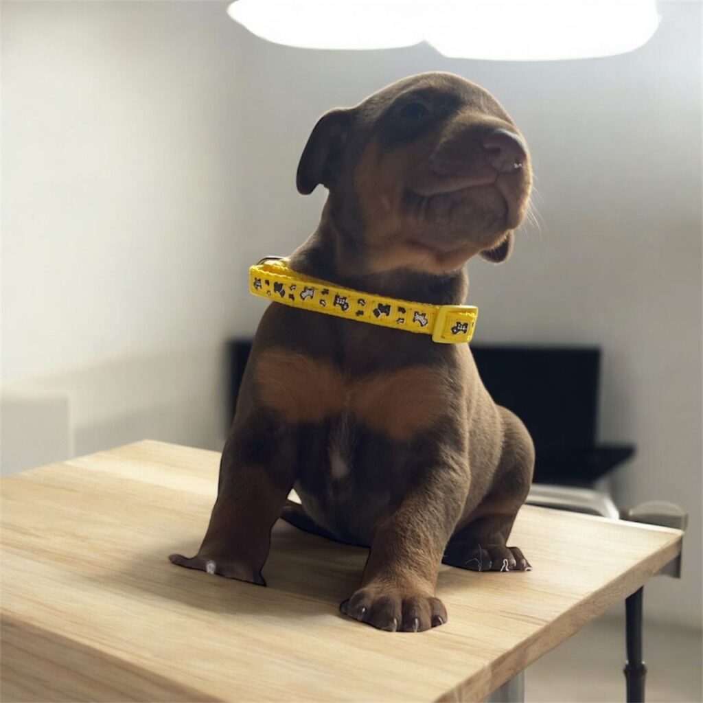 2cc3d8e8 f0d3 4852 8216 0287b14ce25a