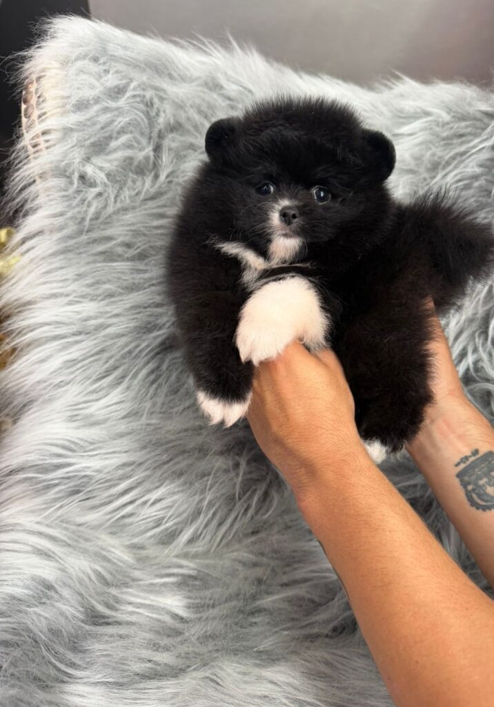 54398f74 5bfa 405e 96c4 5dc2536efd28