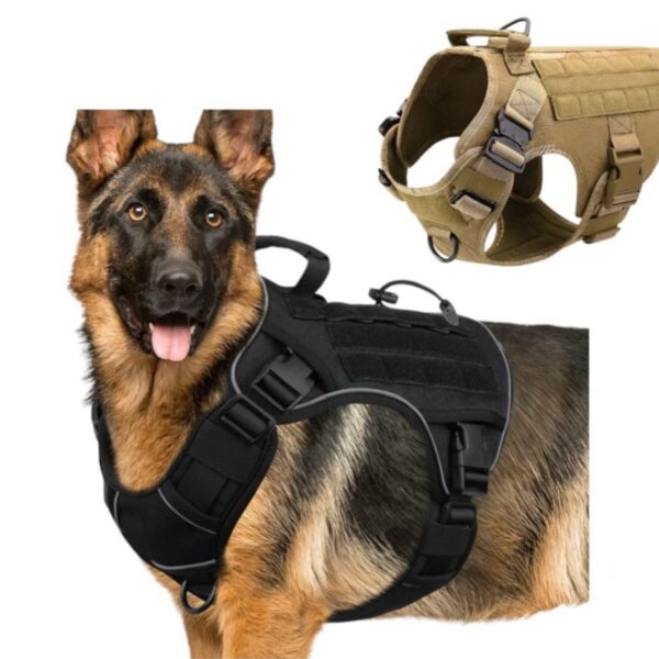 Pechera Táctica Talla M